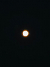 ViVian - 真琴の女の子ブログ画像