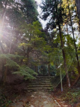 ViVian - 真琴の女の子ブログ画像