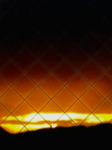 ViVian - 真琴の女の子ブログ画像