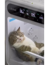 ViVian - 真琴の女の子ブログ画像