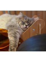 ViVian - 真琴の女の子ブログ画像