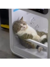 ViVian - 真琴の女の子ブログ画像