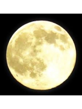 ViVian - 真琴の女の子ブログ画像