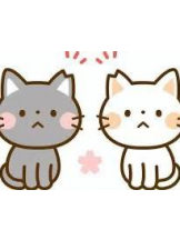 ViVian - 真琴の女の子ブログ画像