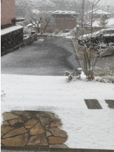 ViVian - 真琴の女の子ブログ画像