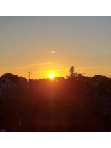 ViVian - 真琴の女の子ブログ画像