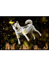 ViVian - 真琴の女の子ブログ画像