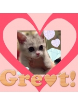 ViVian - 真琴の女の子ブログ画像