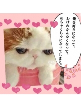 ViVian - 真琴の女の子ブログ画像