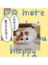 ViVian - 真琴の女の子ブログ画像