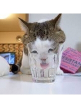 ViVian - 真琴の女の子ブログ画像