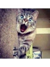 ViVian - 真琴の女の子ブログ画像