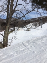 ViVian - 真琴の女の子ブログ画像