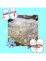 ViVian - 真琴の女の子ブログ画像