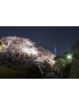 ViVian - 真琴の女の子ブログ画像