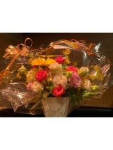 ViVian - 真琴の女の子ブログ画像