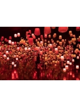 ViVian - 真琴の女の子ブログ画像