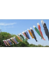 ViVian - 真琴の女の子ブログ画像