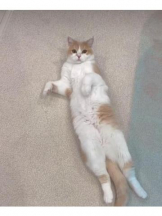 ViVian - 真琴の女の子ブログ画像