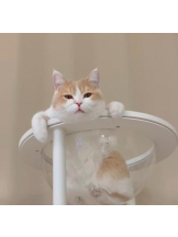 ViVian - 真琴の女の子ブログ画像