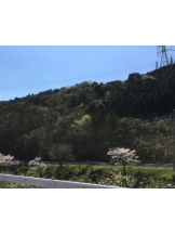 ViVian - 真琴の女の子ブログ画像