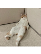 ViVian - 真琴の女の子ブログ画像