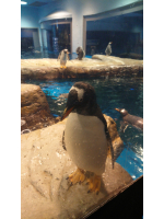 エンジェルキッス - NANAMIの女の子ブログ画像