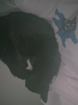 ViVian - 美希（みき）の女の子ブログ画像