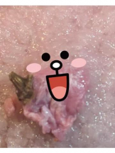 God Field - みずきの女の子ブログ画像