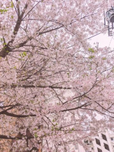 God Field - みずきの女の子ブログ画像