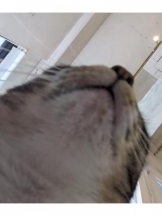 God Field - みずきの女の子ブログ画像