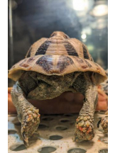 God Field - みずきの女の子ブログ画像