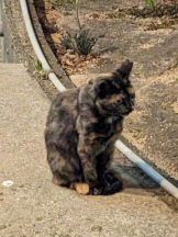 God Field - みずきの女の子ブログ画像