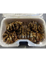 God Field - みずきの女の子ブログ画像