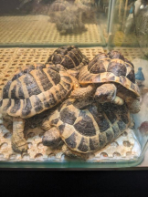 God Field - みずきの女の子ブログ画像