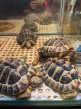 God Field - みずきの女の子ブログ画像