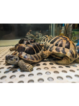 God Field - みずきの女の子ブログ画像