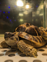 God Field - みずきの女の子ブログ画像