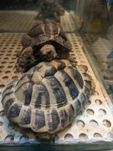 God Field - みずきの女の子ブログ画像