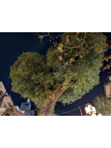 God Field - みずきの女の子ブログ画像