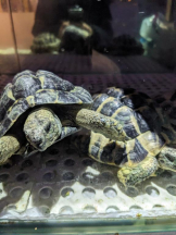 God Field - みずきの女の子ブログ画像