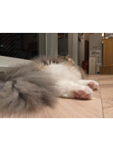 God Field - みずきの女の子ブログ画像