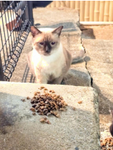 God Field - みずきの女の子ブログ画像