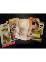 God Field - みずきの女の子ブログ画像