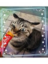 God Field - みずきの女の子ブログ画像