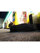 God Field - みずきの女の子ブログ画像