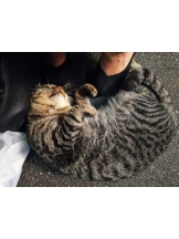 God Field - みずきの女の子ブログ画像