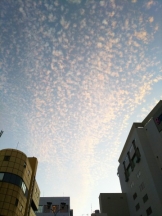 God Field - みずきの女の子ブログ画像