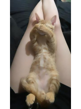 ViVian - かのの女の子ブログ画像