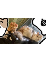 ViVian - かのの女の子ブログ画像